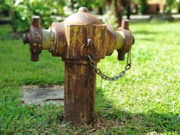 Close-up of fire hydrant on field