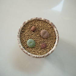 High angle view of bread in bowl on table