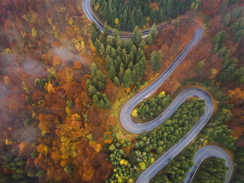 High angle view of road amidst trees in forest