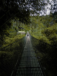 Footbridge amidst trees in forest