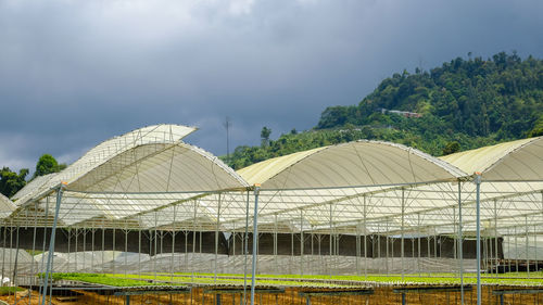 Tent on field against cloudy sky