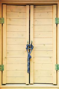 Chain on closed wooden door