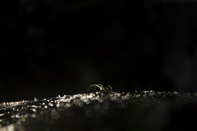 Close-up of wet illuminated glass against black background