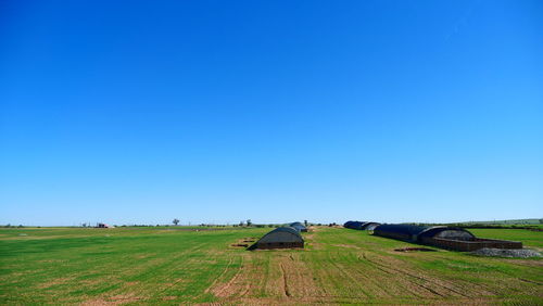 Scenic view of farm against clear blue sky