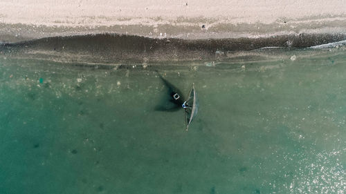 Woman swimming in sea