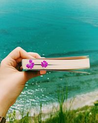 Close-up of woman hand holding flower in book against sea