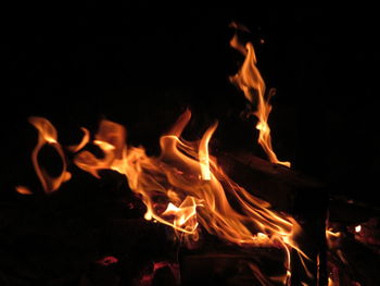 Close-up of fire in the dark