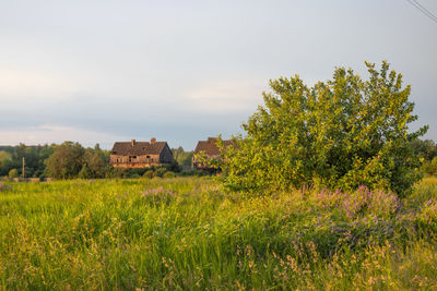 Scenic view of field against sky