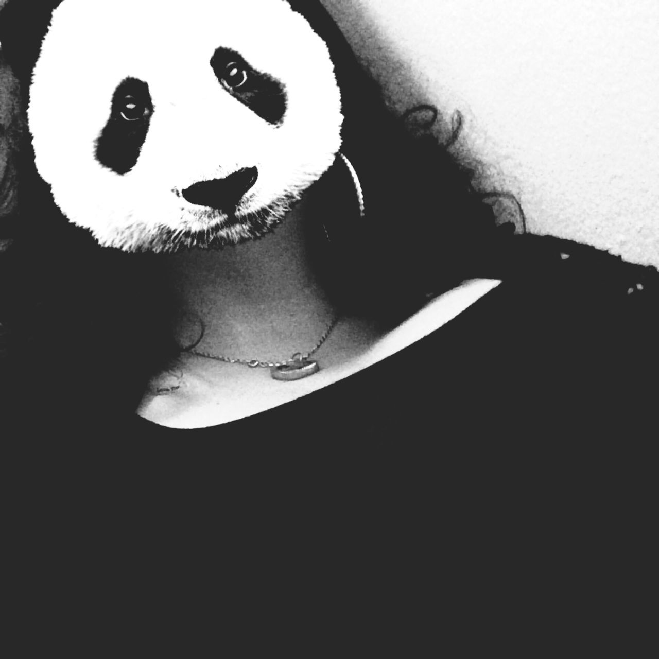 Sexypanda weird odd