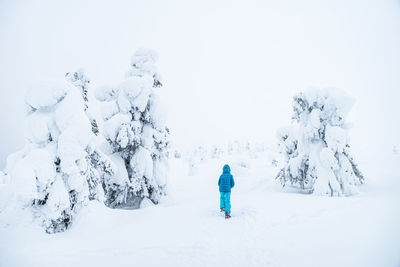 Rear view of person on snow covered land