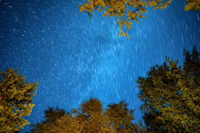 Low angle view of trees against sky at night