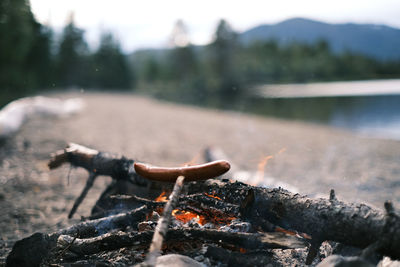 Close-up of fire on log