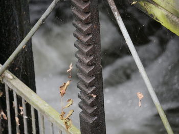 Close-up of metal against water