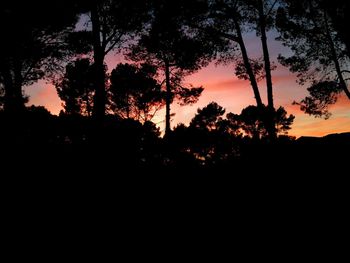 Silhouette trees against sky during sunset