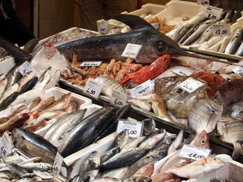 Close-up of fish for sale in market