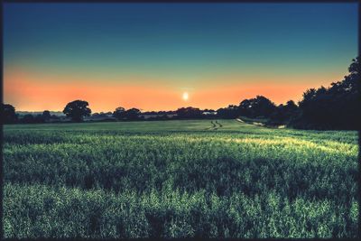 Scenic view of field against sky at sunset