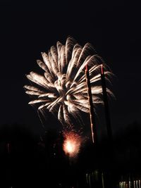 Low angle view of firework display at night