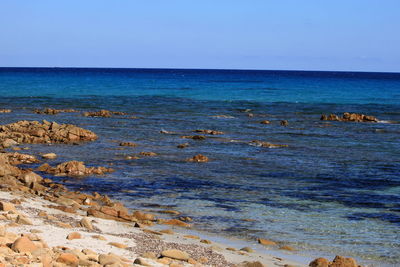 Scenic view of sea against clear blue sky