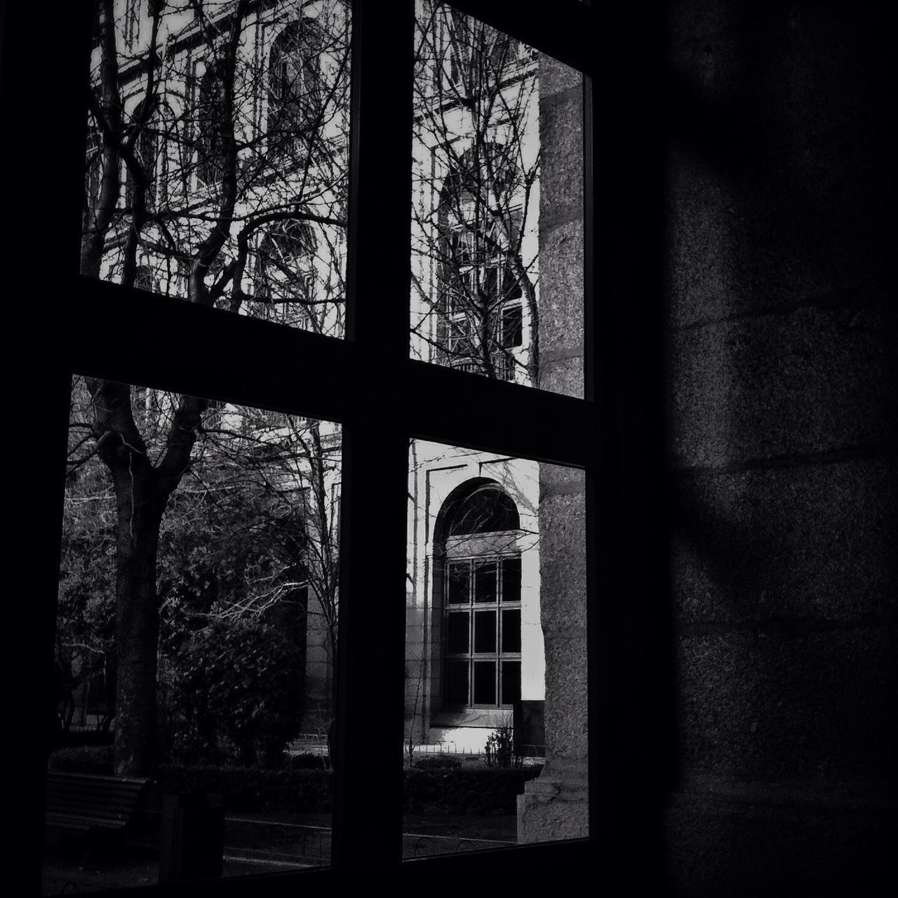 window, indoors, glass - material, architecture, built structure, transparent, tree, day, arch, no people, house, home interior, building exterior, closed, sunlight, door, pattern, glass, window frame, dark