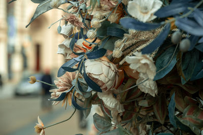 Close-up of flowering plant