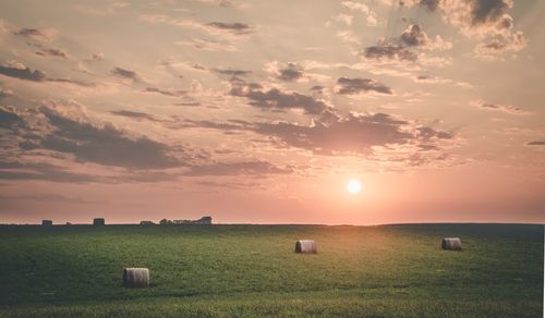 Scenic view of field against sky during sunset