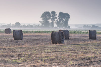 Hay bales on field against sky