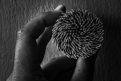 Cropped hand holding toothpicks on table