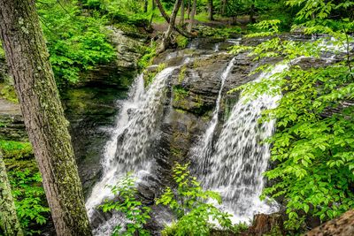 Stream flowing through rocks in forest