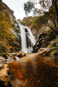 Scenic view of waterfall in forest