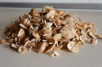 Close-up of mushrooms on table