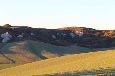 Scenic view of landscape against clear sky