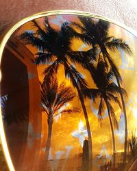 Close-up of palm tree against sunset sky