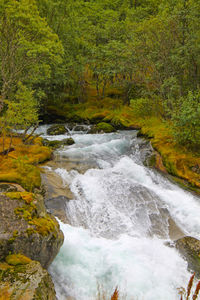 Scenic view of river flowing through rocks