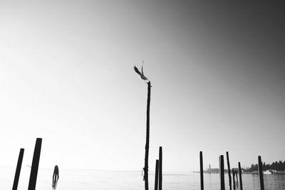 Wooden posts on beach against clear sky