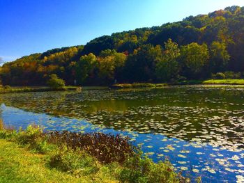 Scenic view of lake against clear sky