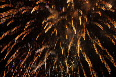 Low angle view of fireworks against sky at night