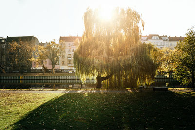 Park in city against sky
