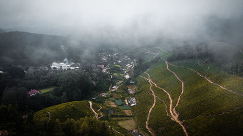 High angle view of trees on landscape