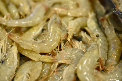 Full frame shot of food in market