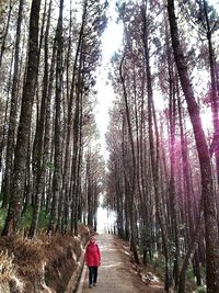 Rear view of woman walking on footpath