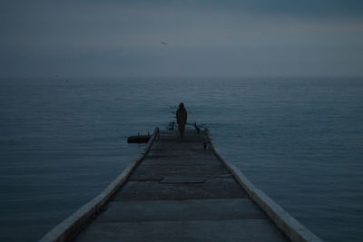 Rear view of man on sea against sky