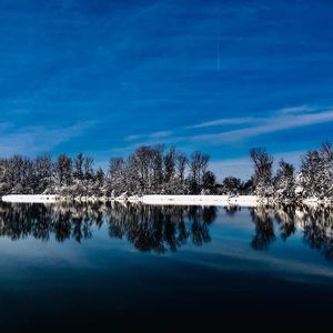 Reflection of trees in lake against blue sky