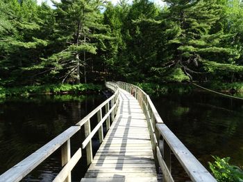 Footbridge amidst trees in forest