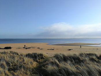 Walking the dog on dornoch beach