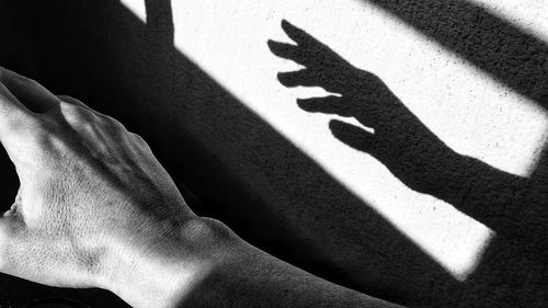 Shadow of person on hand