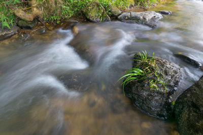 River flowing through rocks in forest