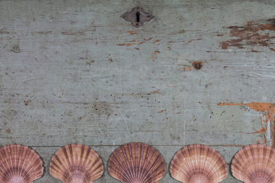 Directly above view of seashells on wooden table