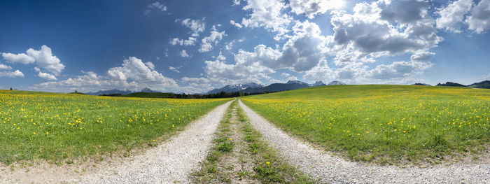 Scenic view of road amidst field against sky