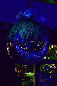 Close-up of illuminated christmas tree at night