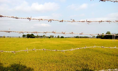 Barbed wire fence in field